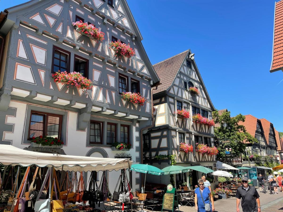 Gaestehaus Klingler Besigheim Zewnętrze zdjęcie