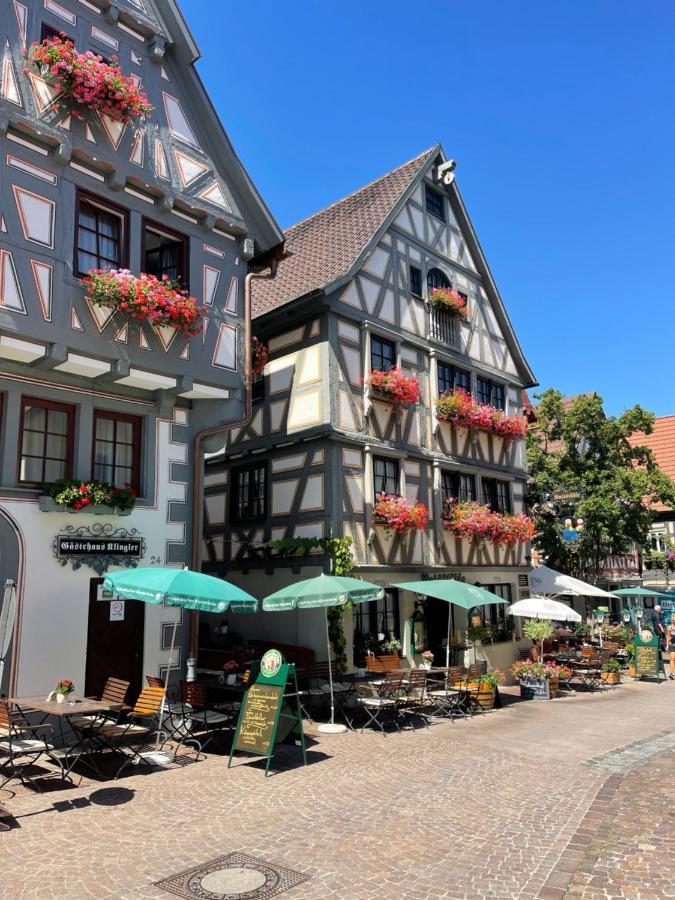 Gaestehaus Klingler Besigheim Zewnętrze zdjęcie